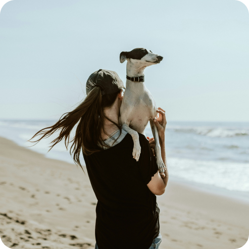Coccole per Cani - Masticativi Naturali