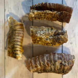 Trachea bovina 200 gr.