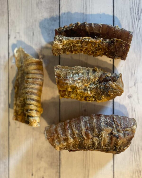 Trachea bovina 200 gr.