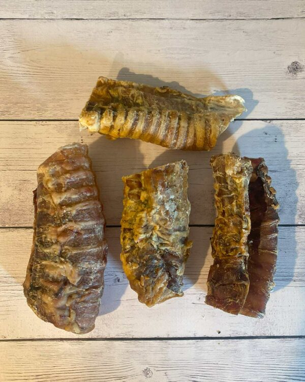 Trachea bovina 200 gr. - immagine 4